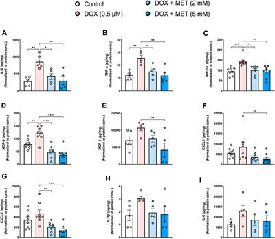 Metformin mitigates SASP secretion and LPS-triggered hyper-inflammation in Doxorubicin-induced senescent endothelial cells